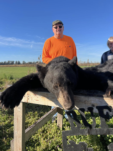 Black bear country, no place like it